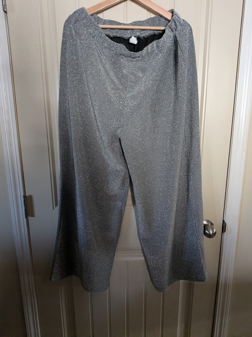 NWOT Silver Sparkle Wide-Leg Pants